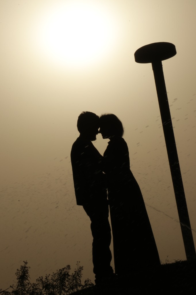 Golden Mist Silhouette Story